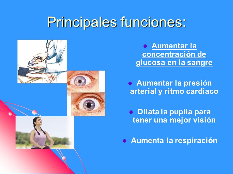 Funcion de la glucosa
